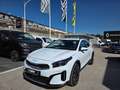 Kia XCeed XCeed 1.6 CRDI Business 136cv KM0 Blanc - thumbnail 1