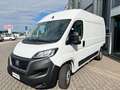 Fiat Ducato 35 2.2 MJT M2 H2  KM 0 Bianco - thumbnail 3