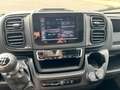 Fiat Ducato 35 2.2 MJT M2 H2  KM 0 Bianco - thumbnail 9