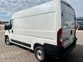 Fiat Ducato 35 2.2 MJT M2 H2  KM 0 Bianco - thumbnail 4