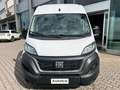 Fiat Ducato 35 2.2 MJT M2 H2  KM 0 Bianco - thumbnail 2