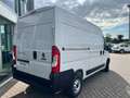 Fiat Ducato 35 2.2 MJT M2 H2  KM 0 Bianco - thumbnail 5