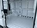 Fiat Ducato 35 2.2 MJT M2 H2  KM 0 Bianco - thumbnail 11