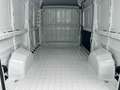 Fiat Ducato 35 2.2 MJT M2 H2  KM 0 Bianco - thumbnail 10