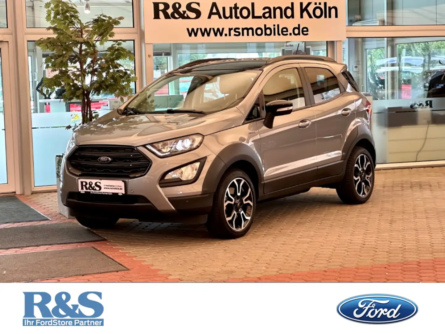 Ford EcoSport Active+Kamera+Navi+B&O+Key-Free+BLIS Silber - 1