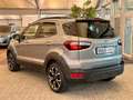 Ford EcoSport Active+Kamera+Navi+B&O+Key-Free+BLIS Silber - thumbnail 6