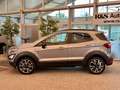 Ford EcoSport Active+Kamera+Navi+B&O+Key-Free+BLIS Silber - thumbnail 5