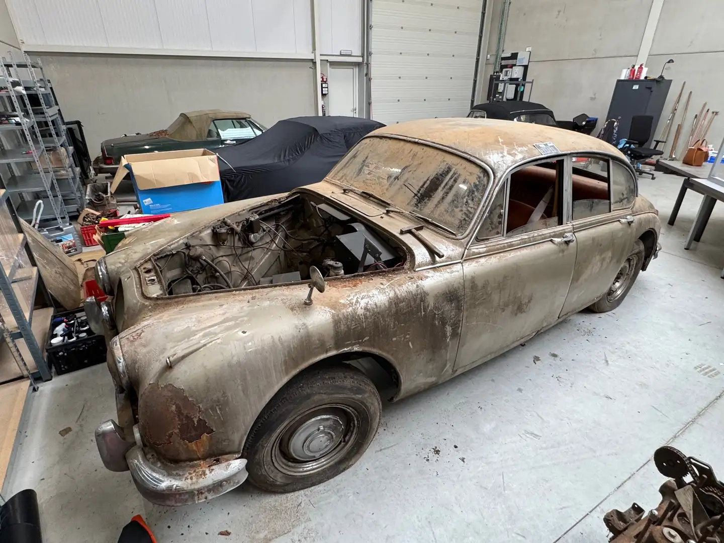 Jaguar MK II Or - 1