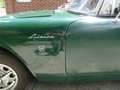 Alpine SUNBEAM alpine série 4 Yeşil - thumbnail 15