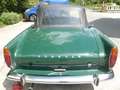 Alpine SUNBEAM alpine série 4 Yeşil - thumbnail 7