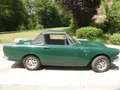 Alpine SUNBEAM alpine série 4 Yeşil - thumbnail 5