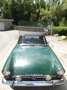 Alpine SUNBEAM alpine série 4 Yeşil - thumbnail 4