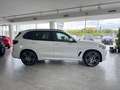 BMW X5 xDrive25d Msport 22'' HEAD-UP KEYLESS PERLA Bianco - thumbnail 7
