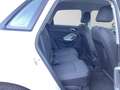 Audi Q3 35 TDI S LINE LED KAMERA ACC KEYLESS Weiß - thumbnail 6