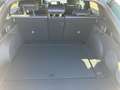 Kia ProCeed / pro_cee'd ProCeed GT-Line DCT 1,5 T-GDI 48V Зелений - thumbnail 14