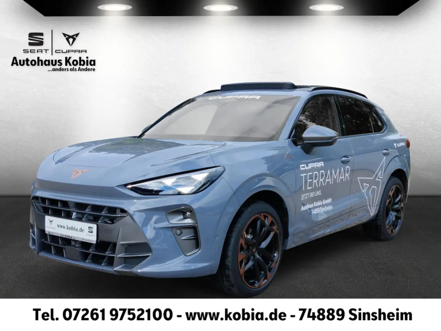 CUPRA Terramar Terramar VZ 2.0TSI 265PS 7-Gang DSG 4DRIVE Gris - 1