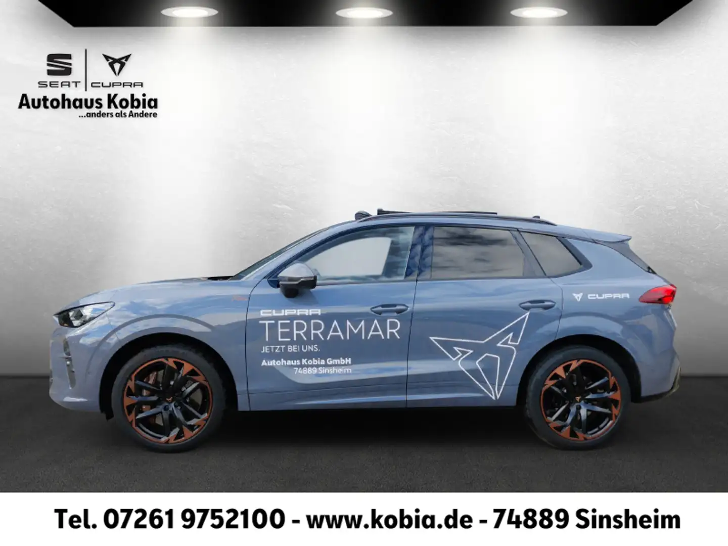 CUPRA Terramar Terramar VZ 2.0TSI 265PS 7-Gang DSG 4DRIVE Gris - 2