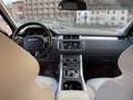 Land Rover Range Rover Evoque 5p 2.0 ed4 SE Business edition Premium 150cv n1 Rosso - thumbnail 7