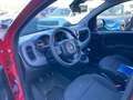 Fiat Panda Panda Cross 1.0 FireFly S&S Hybrid Rosso - thumbnail 10