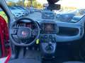Fiat Panda Panda Cross 1.0 FireFly S&S Hybrid Rosso - thumbnail 12
