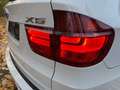 BMW X5 xDrive30d,Auto,Leder,Navi,Ponoram Weiß - thumbnail 7