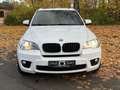 BMW X5 xDrive30d,Auto,Leder,Navi,Ponoram Weiß - thumbnail 2