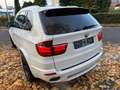 BMW X5 xDrive30d,Auto,Leder,Navi,Ponoram Weiß - thumbnail 6