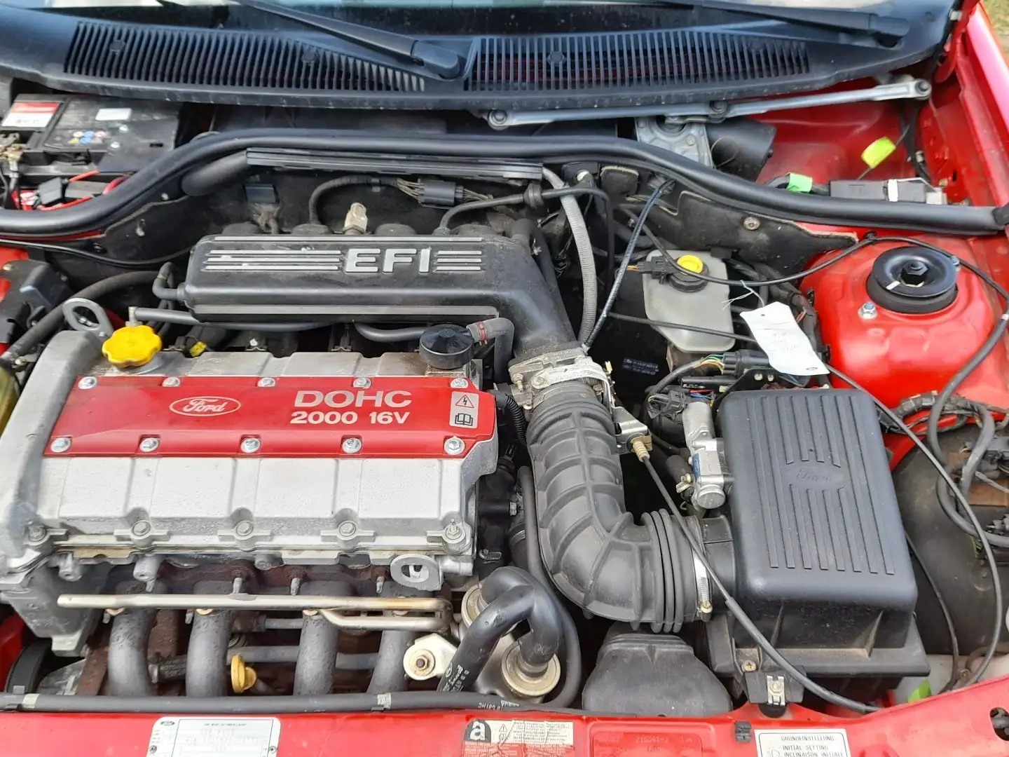 Ford Escort RS2000 Kırmızı - 1