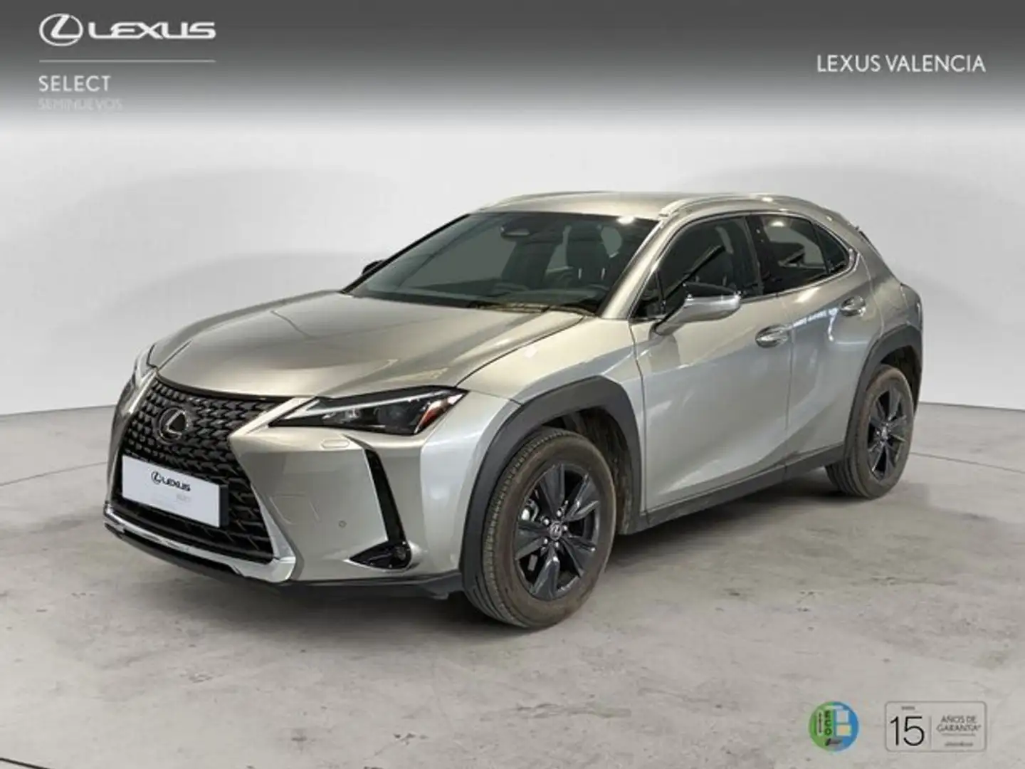 Lexus UX 300e Todoterreno Automático de 5 Puertas Grau - 1
