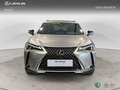 Lexus UX 300e Todoterreno Automático de 5 Puertas Grau - thumbnail 5