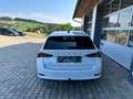 Skoda Octavia Style 2,0 TDI DSG *STANDHZ*WSS-HZ*DIGITAL*AHV*RFK* Weiß - thumbnail 4
