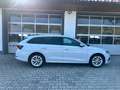 Skoda Octavia Style 2,0 TDI DSG *STANDHZ*WSS-HZ*DIGITAL*AHV*RFK* Weiß - thumbnail 32