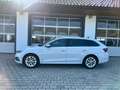 Skoda Octavia Style 2,0 TDI DSG *STANDHZ*WSS-HZ*DIGITAL*AHV*RFK* Weiß - thumbnail 2