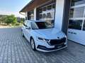 Skoda Octavia Style 2,0 TDI DSG *STANDHZ*WSS-HZ*DIGITAL*AHV*RFK* Weiß - thumbnail 33