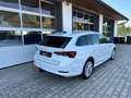 Skoda Octavia Style 2,0 TDI DSG *STANDHZ*WSS-HZ*DIGITAL*AHV*RFK* Weiß - thumbnail 31