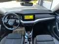 Skoda Octavia Style 2,0 TDI DSG *STANDHZ*WSS-HZ*DIGITAL*AHV*RFK* Weiß - thumbnail 9