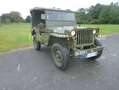 Jeep Willys Willys Overland MB Bauj. 1942 - WWII Zöld - thumbnail 2