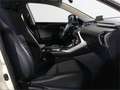 Lexus NX 300 300h Business 2WD - thumbnail 6