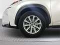 Lexus NX 300 300h Business 2WD - thumbnail 16