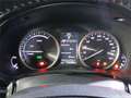 Lexus NX 300 300h Business 2WD - thumbnail 14