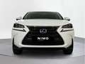 Lexus NX 300 300h Business 2WD - thumbnail 5
