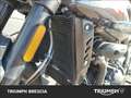 Triumph Speed Triple 1050 RS Abs Bianco - thumbnail 13