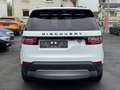 Land Rover Discovery SE SDV6 Weiß - thumbnail 6