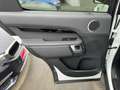 Land Rover Discovery SE SDV6 Weiß - thumbnail 26