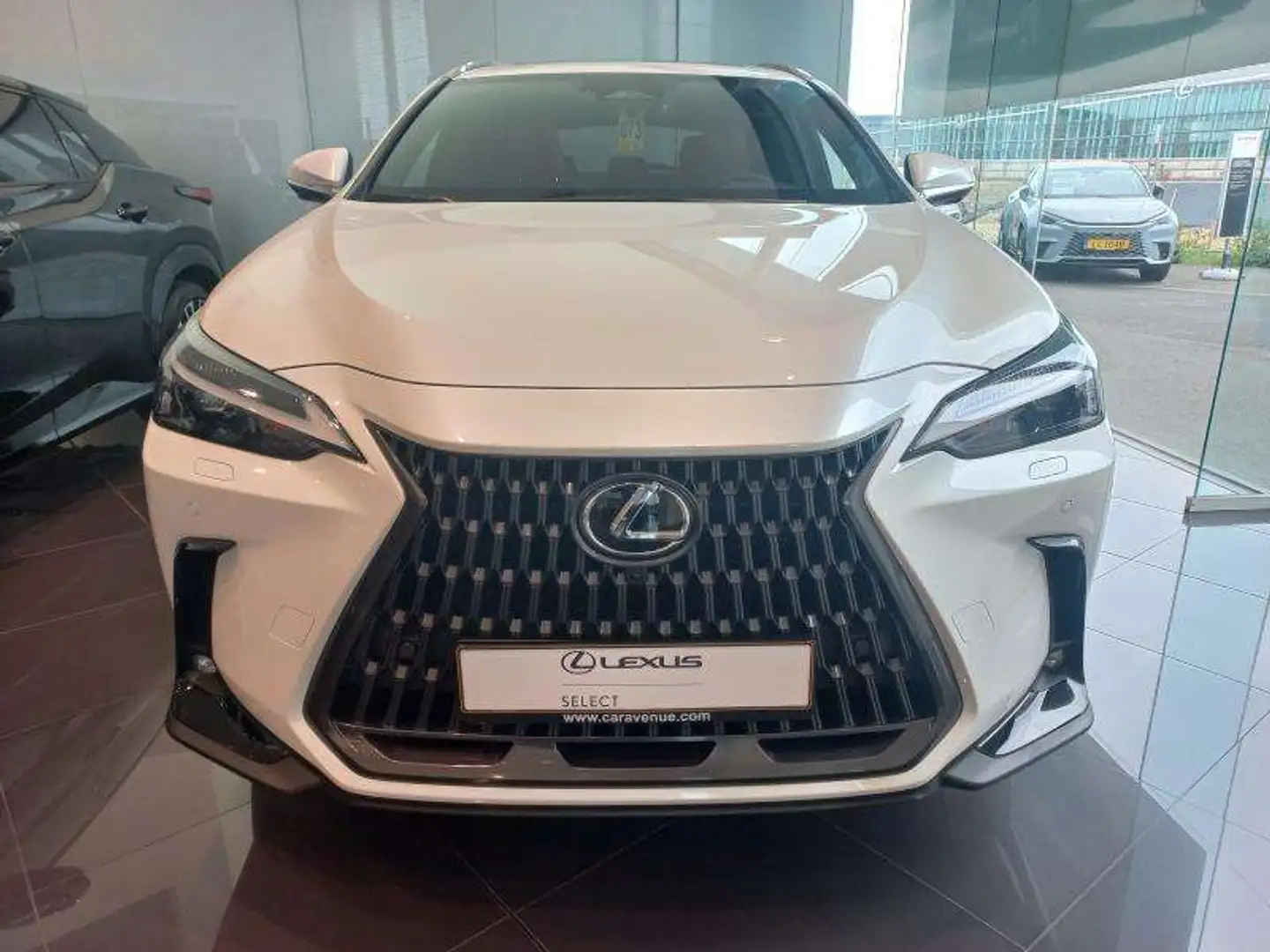 Lexus NX 450h+ Executive Blanc - 2