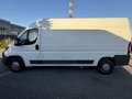 Peugeot Boxer Bianco - thumbnail 5