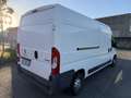 Peugeot Boxer Bianco - thumbnail 7
