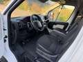 Peugeot Boxer Bianco - thumbnail 10
