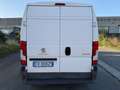 Peugeot Boxer Bianco - thumbnail 6