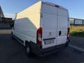 Peugeot Boxer Bianco - thumbnail 8